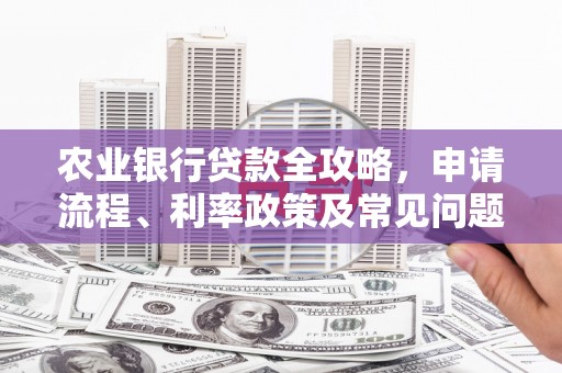 柞水农业银行贷款全攻略，申请流程、利率政策及常见问题解析