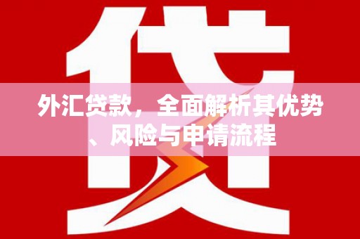 柞水外汇贷款，全面解析其优势、风险与申请流程