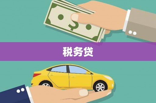 柞水税务贷