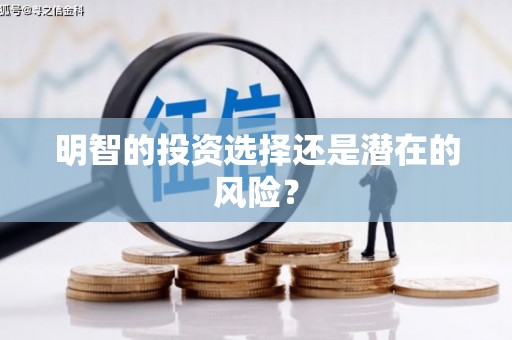 柞水明智的投资选择还是潜在的风险？