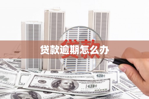 柞水贷款逾期怎么办