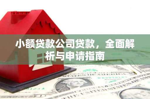 柞水小额贷款公司贷款，全面解析与申请指南