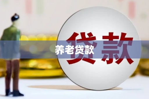 柞水养老贷款