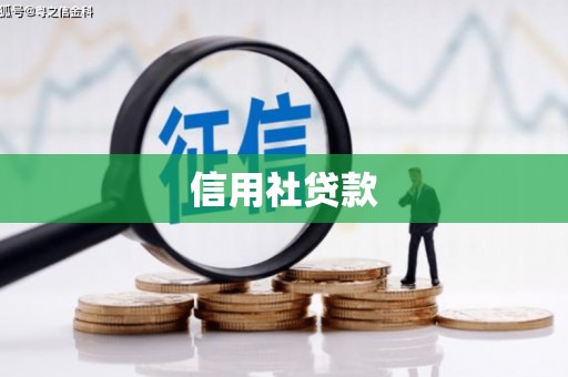 柞水信用社贷款