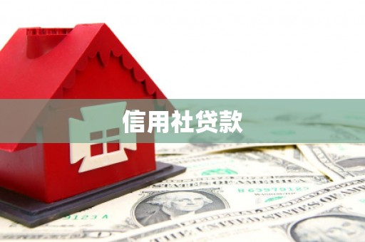 柞水信用社贷款