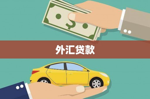 柞水外汇贷款