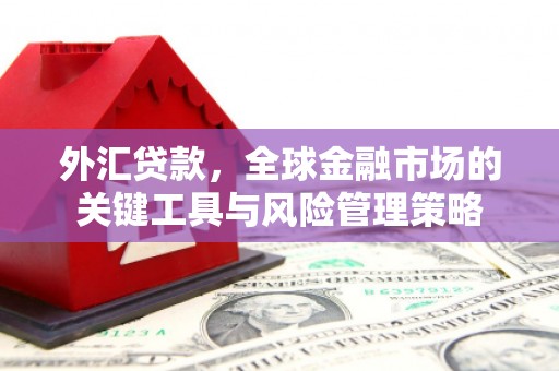 柞水外汇贷款，全球金融市场的关键工具与风险管理策略