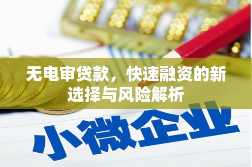 柞水无电审贷款，快速融资的新选择与风险解析
