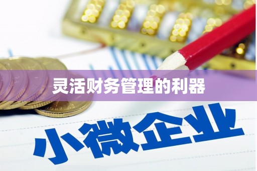 柞水灵活财务管理的利器