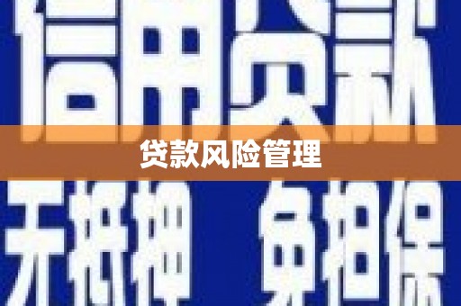 柞水贷款风险管理