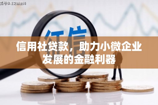 柞水信用社贷款，助力小微企业发展的金融利器