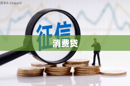 柞水消费贷