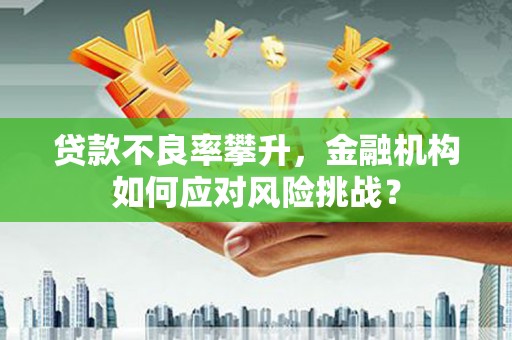 柞水贷款不良率攀升，金融机构如何应对风险挑战？