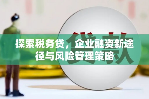 柞水探索税务贷，企业融资新途径与风险管理策略