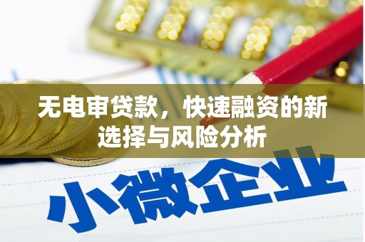 柞水无电审贷款，快速融资的新选择与风险分析