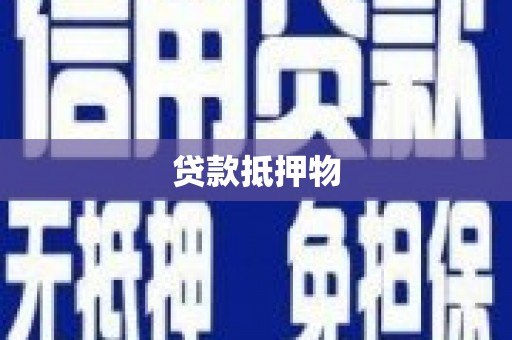 柞水贷款抵押物