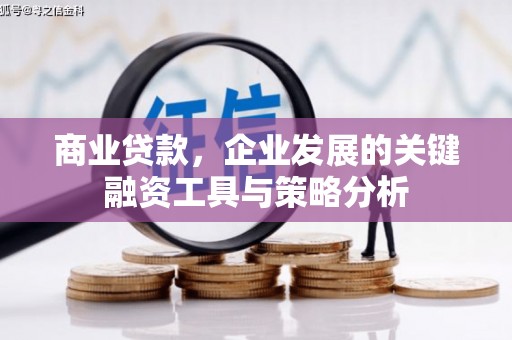 柞水商业贷款，企业发展的关键融资工具与策略分析