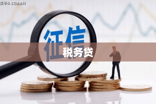 柞水税务贷