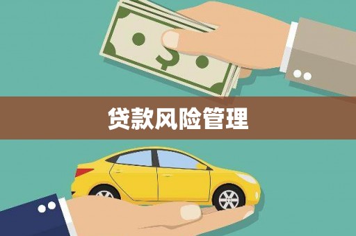 柞水贷款风险管理