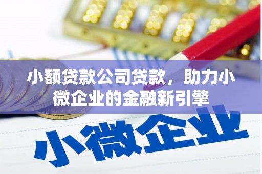 柞水小额贷款公司贷款，助力小微企业的金融新引擎