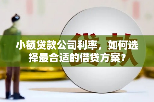 柞水小额贷款公司利率，如何选择最合适的借贷方案？