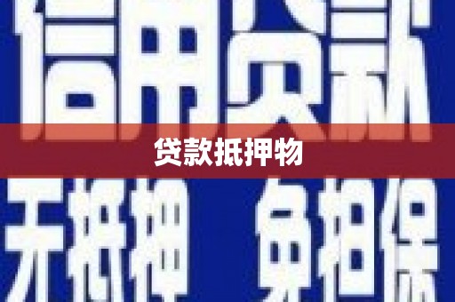 柞水贷款抵押物