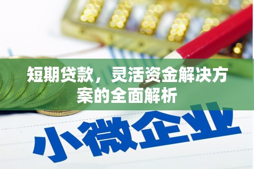 柞水短期贷款，灵活资金解决方案的全面解析