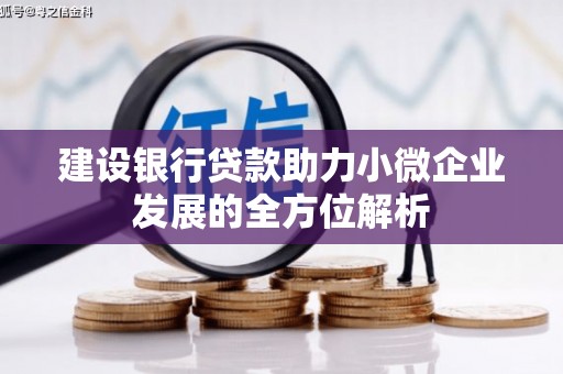 柞水建设银行贷款助力小微企业发展的全方位解析