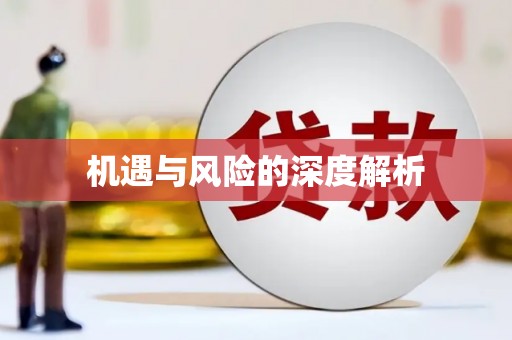 柞水机遇与风险的深度解析