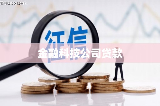 柞水金融科技公司贷款