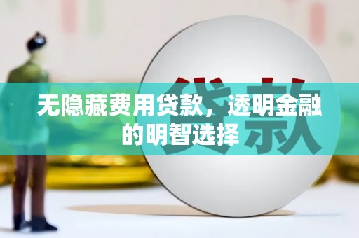 柞水无隐藏费用贷款，透明金融的明智选择