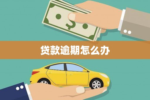 柞水贷款逾期怎么办