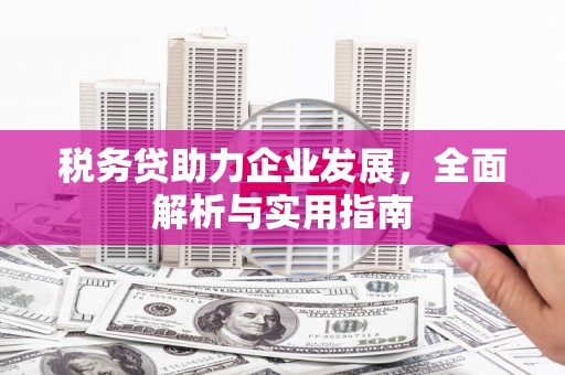柞水税务贷助力企业发展，全面解析与实用指南