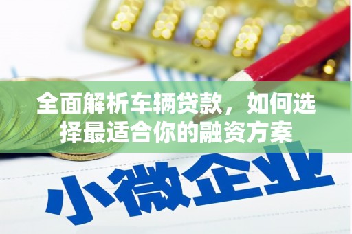 柞水全面解析车辆贷款，如何选择最适合你的融资方案