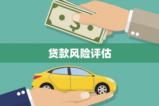 柞水贷款风险评估