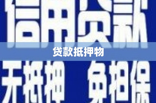 柞水贷款抵押物