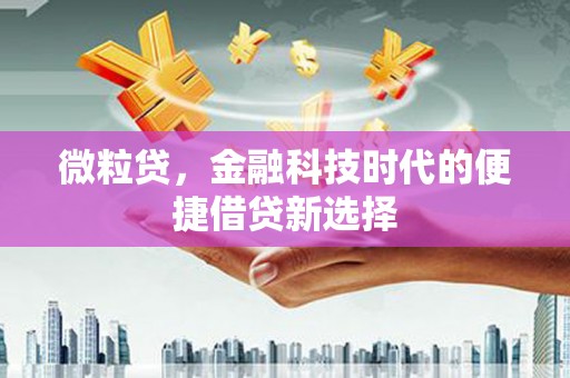 柞水微粒贷，金融科技时代的便捷借贷新选择