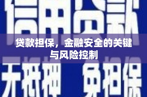 柞水贷款担保，金融安全的关键与风险控制