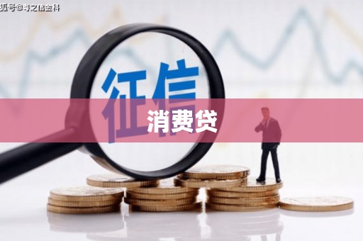柞水消费贷