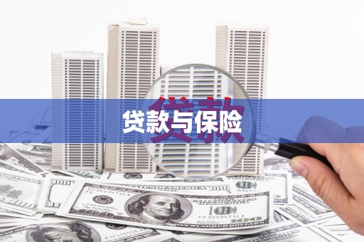 柞水贷款与保险