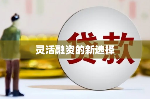 柞水灵活融资的新选择