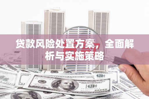 柞水贷款风险处置方案，全面解析与实施策略