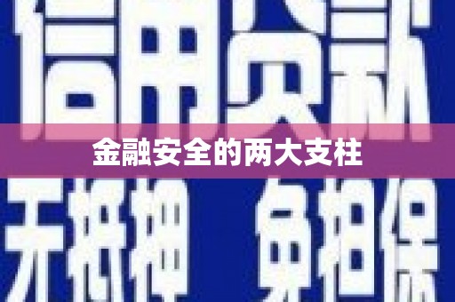 柞水金融安全的两大支柱