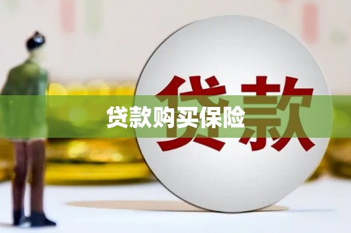 柞水贷款购买保险