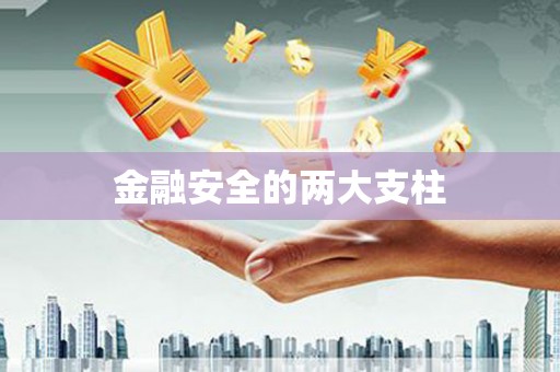 柞水金融安全的两大支柱